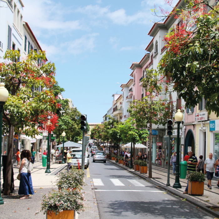 Rua-Fernão-Ornelas